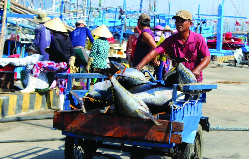 thẻ vàng IUU