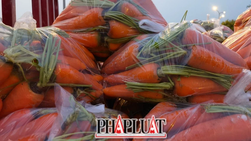 Người dùng thường khó phân biệt được đâu là cà rốt Trung Quốc và đâu là cà rốt Đà Lạt. Ảnh: VÕ TÙNG Người dùng thường khó phân biệt được đâu là cà rốt Trung Quốc và đâu là cà rốt Đà Lạt. Ảnh: VÕ TÙNG
