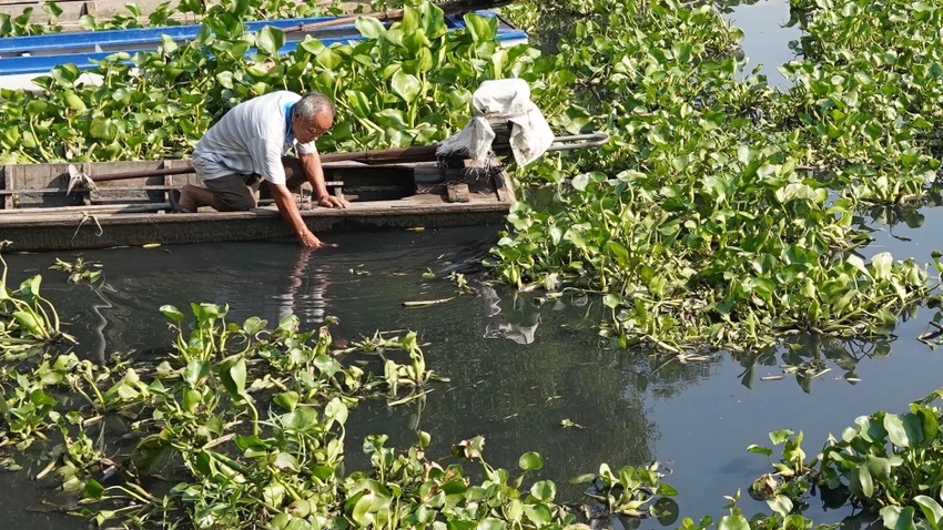 Nước sông Vàm Cỏ Đông màu đen, bốc mùi hôi nồng. Ảnh: VT Nước sông Vàm Cỏ Đông màu đen, bốc mùi hôi nồng