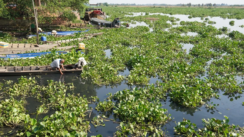 Người dân xã Trường Đông, thị xã Hòa Thành, tỉnh Tây Ninh đang rất lo lắng vì hầu hết họ đang sử dụng giếng khoan để sinh hoạt. Ảnh: VT Người dân xã Trường Đông, thị xã Hòa Thành, tỉnh Tây Ninh đang rất lo lắng vì hầu hết bà con nơi đây đang sử dụng giếng khoan để sinh hoạt