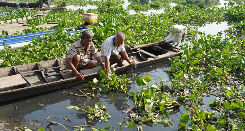 Người dân đã báo cơ quan chức năng về tình trạng nước sông Vàm Cỏ Đông chuyển màu đen. Ảnh: VT Người dân đã báo cơ quan chức năng về tình trạng nước sông Vàm Cỏ Đông chuyển màu đen. Ảnh: VT