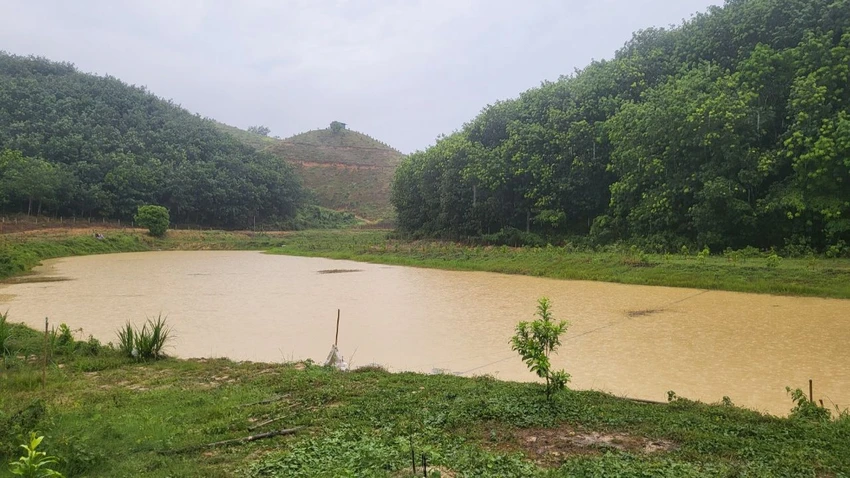 Nhiều nông dân mong ngóng những cơn mưa giải hạn. Ảnh: NGUYỄN TRỰC Nhiều nông dân mong ngóng những cơn mưa giải hạn. Ảnh: NGUYỄN TRỰC