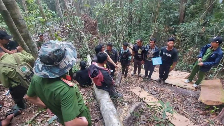 Những người phá rừng bị khởi tố. Ảnh: VT Những người phá rừng bị khởi tố. Ảnh: VT