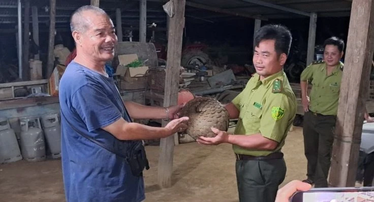Người dân giao nộp con tê tê. Ảnh: KL