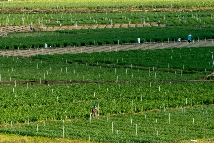 z5138191758285_93ff4d79484a0cd55d3321862132e63f.jpg