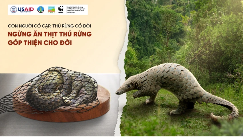 dong-vat-haong-da-3.jpg