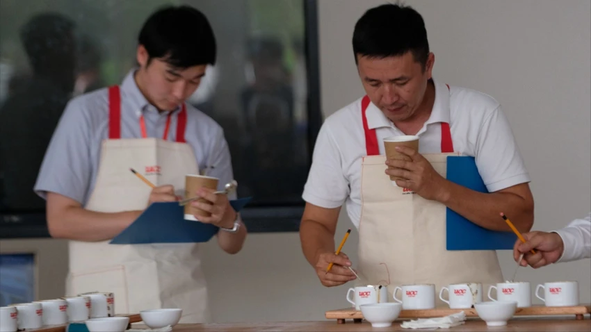 8 mẫu cà phê Arabica ngon nhất Việt Nam được tuyển lựa ở Đà Lạt