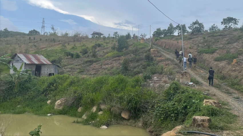 thanh-nien-6.jpg