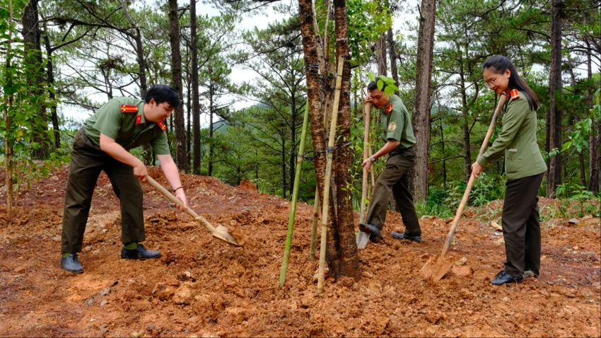 lam-dong-1.jpg