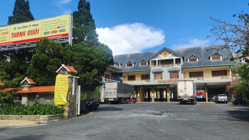thanh-buoi-2.jpg