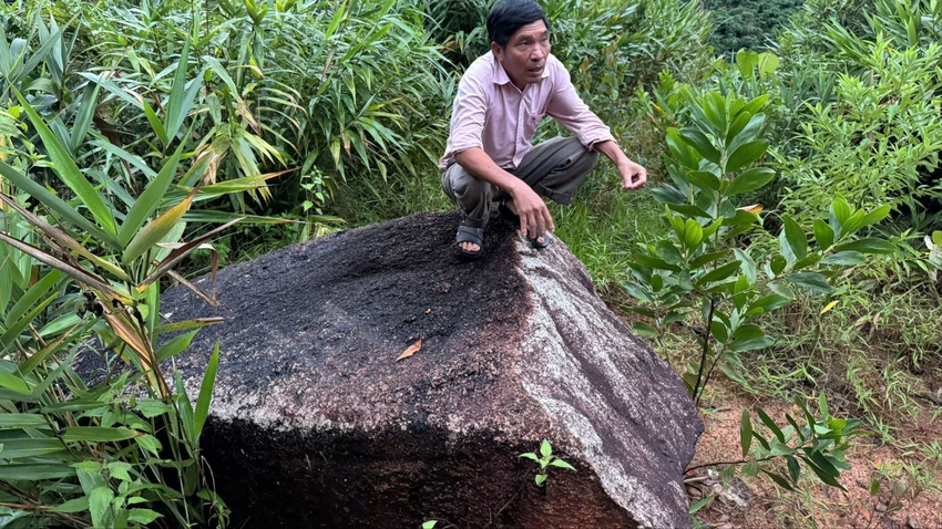 tinh-lam-dong-1.jpg