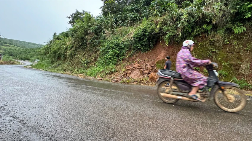 tinh-lam-dong-12.jpg