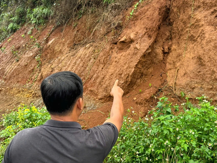 tinh-lam-dong-9.jpg