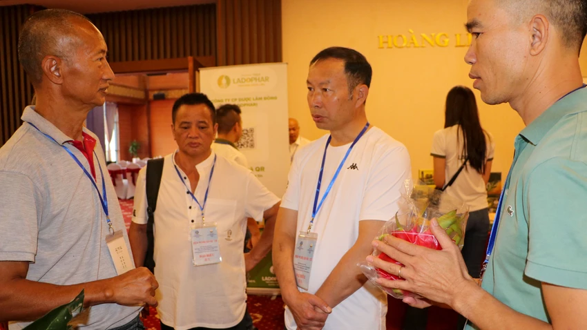 TINH-LAM-DONG-TR.jpg