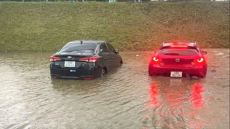 A15.jpg