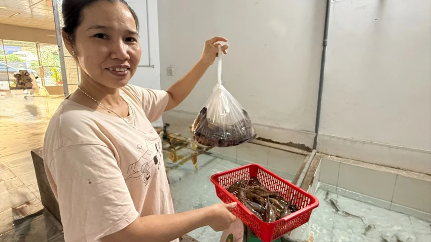 song-dong-nai-1.jpg