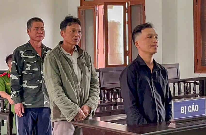 tàng trữ súng.jpg