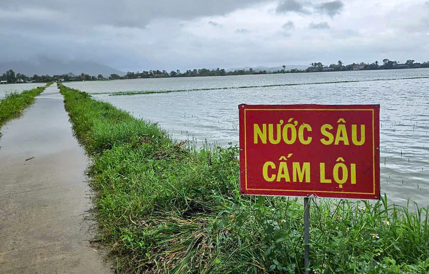tỉnh Phú yên.jpg