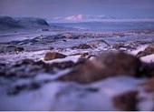 Đan Mạch: 'Mỹ mua đảo Greenland là vô lý'