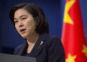 Trung Quốc bắt giáo sư Nhật vì tình nghi gián điệp