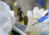 Dịch Corona: Anh bắt đầu thử nghiệm vaccine trên chuột 