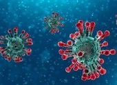 Châu Âu có ca tử vong đầu tiên vì virus COVID-19