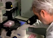 Mỹ công bố mô hình phân tử 3D đầu tiên về virus COVID-19