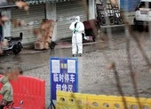 Phát hiện mới: COVID-19 không xuất phát từ chợ hải sản Vũ Hán