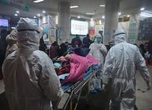 Thế giới không học được bài học SARS để chống COVID-19
