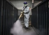 COVID-19 Mỹ: 21 ca chết 534 ca nhiễm, ông Trump lên tiếng