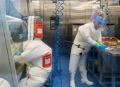 Viện Virus Vũ Hán nghiên cứu chủng Corona mới từ năm 2018? 