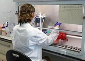 Vaccine COVID-19: Tới giai đoạn thử nghiệm cuối cùng ở người