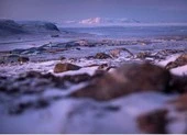 Đan Mạch: 'Mỹ mua đảo Greenland là vô lý'