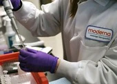 Mỹ: Tháng 7 thử nghiệm vaccine COVID-19, tháng 12 sản xuất