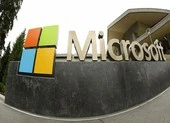 Microsoft: Chưa hủy thỏa thuận mua lại TikTok 
