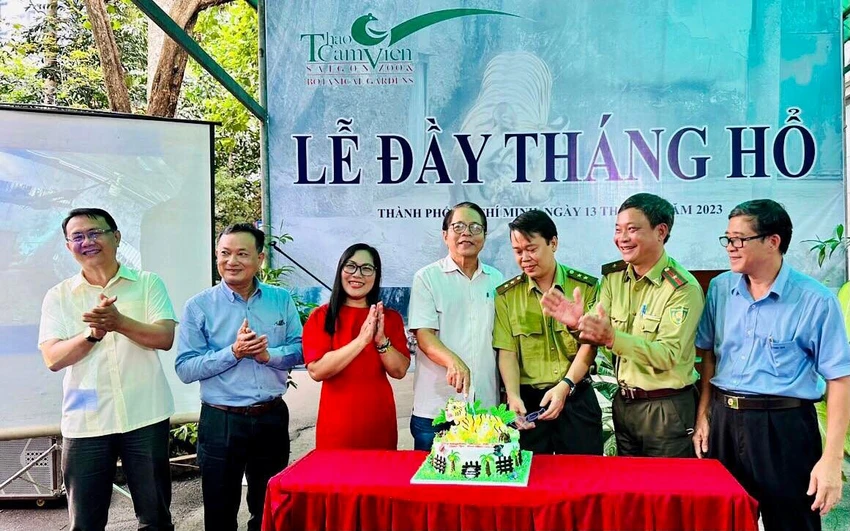 Lãnh đạo Thảo Cầm Viên SG và đại diện Chi cục Kiểm lâm TP.HCM, Bình Dương mừng 'đầy tháng' cho 2 chú hổ. Ảnh: TCV Lãnh đạo Thảo Cầm Viên SG và đại diện Chi cục Kiểm lâm TP.HCM, Bình Dương mừng 'đầy tháng' cho 2 chú hổ. Ảnh: TCV