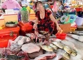 Sẽ xử lý tiểu thương ngang nhiên bán rùa xanh giữa chợ