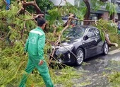 Cần Thơ: Giông lốc làm cây xanh ngã đổ, 9 ô tô hư hỏng nặng
