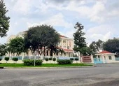 Cựu chủ tịch Bình Thủy có đơn xin không nghỉ việc nữa