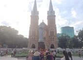  TP.HCM có hơn 31.000 tour du lịch bị hủy