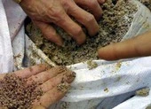 Công ty Phân bón Nông Thuận Phát bị đình chỉ hoạt động