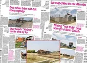 Vụ sai phạm đất đai ở Bình Chánh: Khởi tố 1 nhân viên hợp đồng