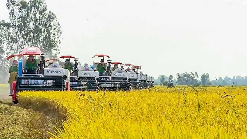 Cơ giới hóa nông nghiệp và chế biến nông sản đã góp phần quan trọng vào sự tăng trưởng, ổn định của ngành nông nghiệp và xây dựng nông thôn mới. Ảnh: VĂN VŨ