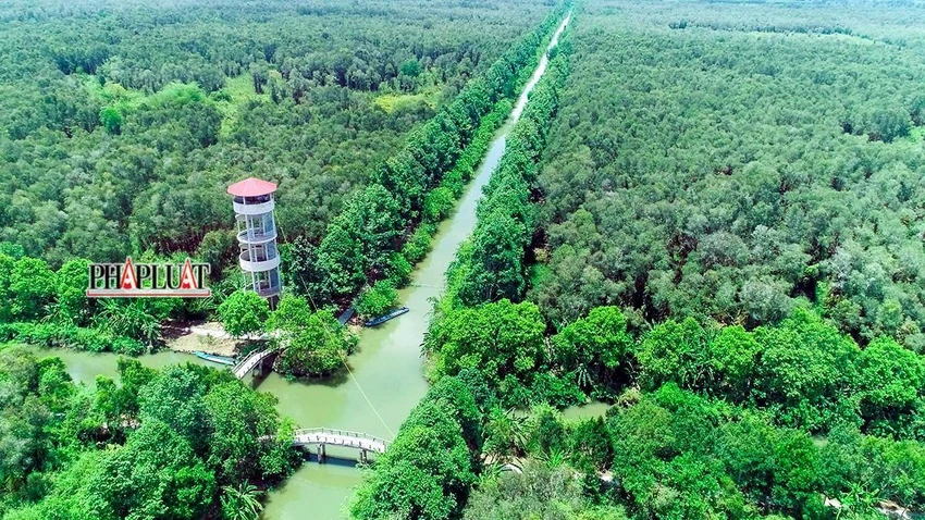 Khu Bảo tồn thiên nhiên Lung Ngọc Hoàng có diện tích khoảng 2.800 ha. Ảnh: AT