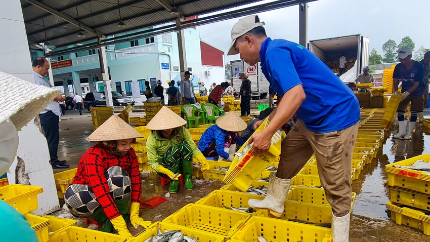 Kiên Giang là địa phương có đội tàu khai thác thủy sản nhiều nhất cả nước, sản lượng cũng nhiều nhất nước. Ảnh: HIẾU LÂM Kiên Giang là địa phương có đội tàu khai thác thủy sản nhiều nhất cả nước, sản lượng cũng nhiều nhất nước. Ảnh: HIẾU LÂM