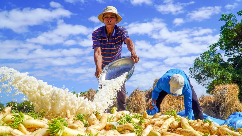 cu-cai-trang-vinh-chau-soc-trang-3.jpg