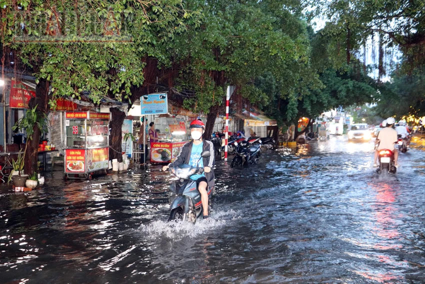 UBND TP Cần Thơ chỉ đạo nóng ứng phó với lũ kết hợp triều cường
