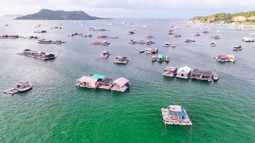 kinh-te-bien-tinh-kien-giang.jpg