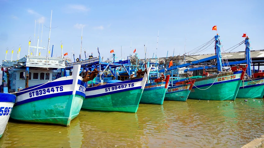 iuu-tp-can-tho.jpg