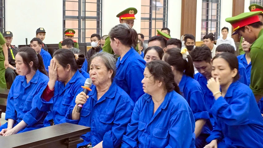 tand-tinh-an-giang-mai-dam-1.jpg